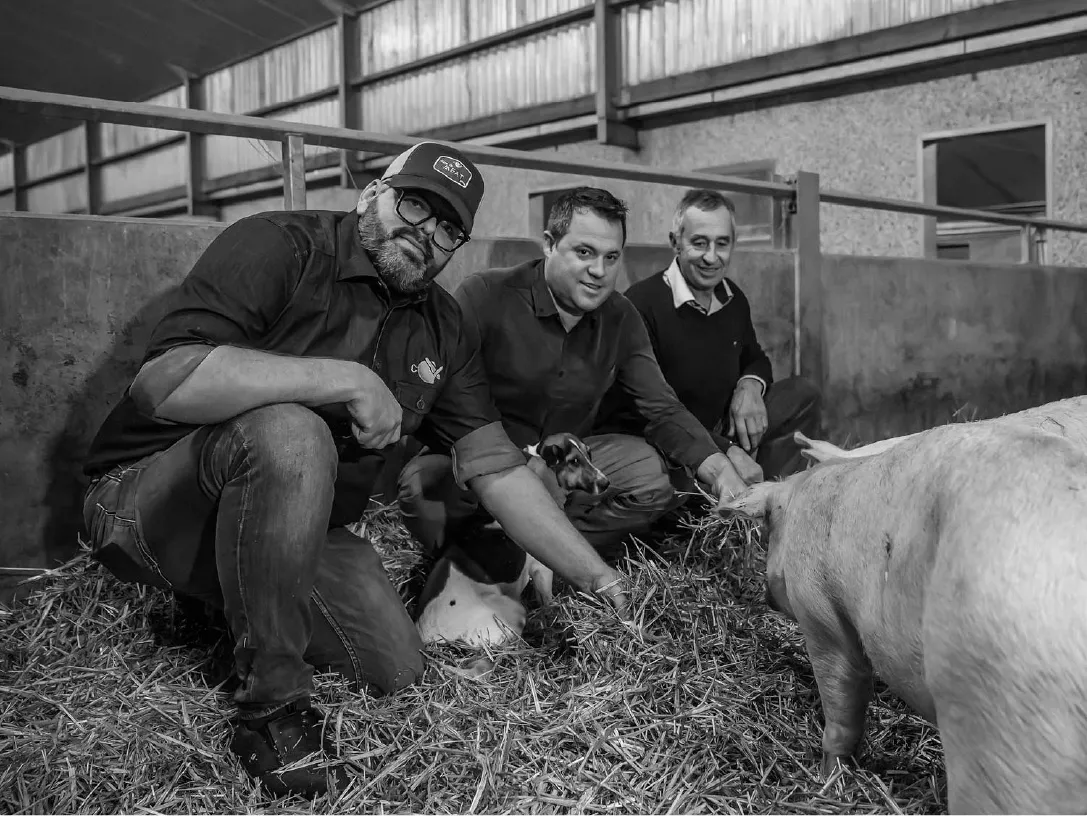 3 mannen naast een varken met stro